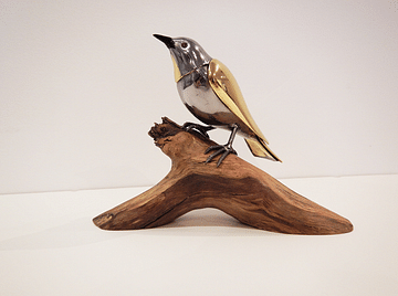 HOW TO MAKE A PORTRAIT OF A BIRD: Artworks from the Collection