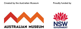 AM_NSW Gov logo block
